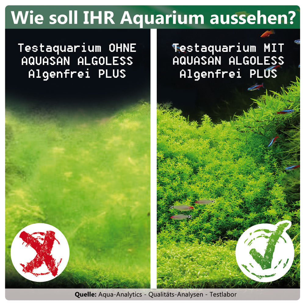 So sieht Ihr Aquarium vorher und nachher aus