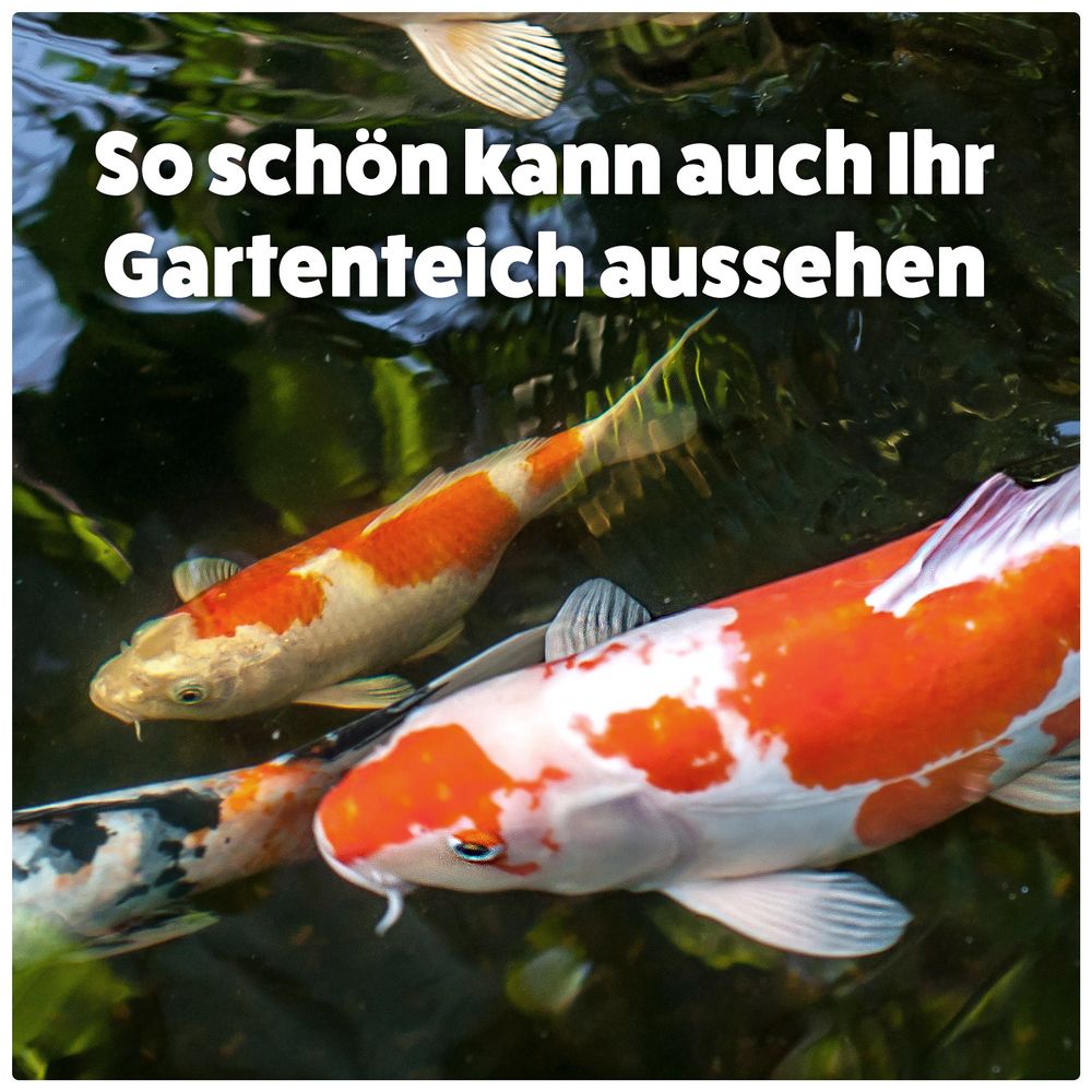 AQUASAN FilterBooster PLUS für Gartenteiche