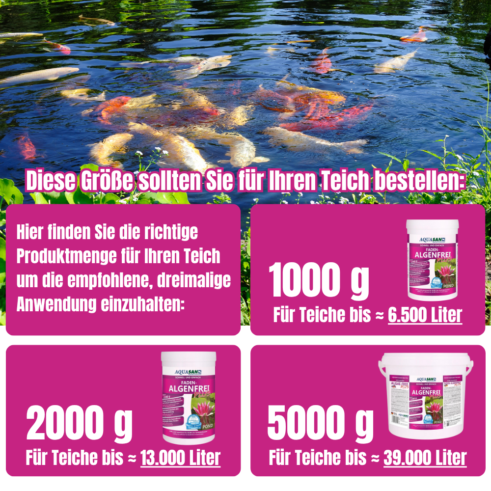 AQUASAN Faden-Algenfrei PLUS für den Gartenteich