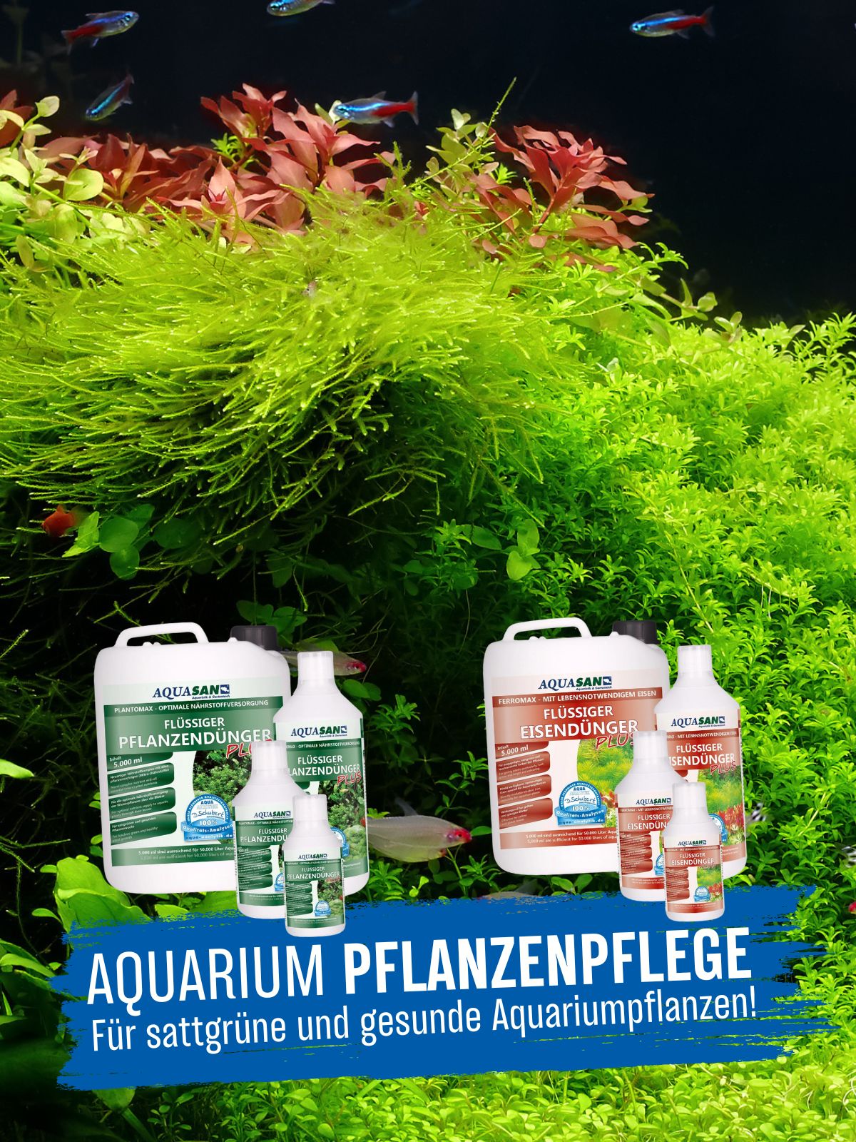 Aquasan Kategoriebild Aquarium Pflanzenpflege mobil