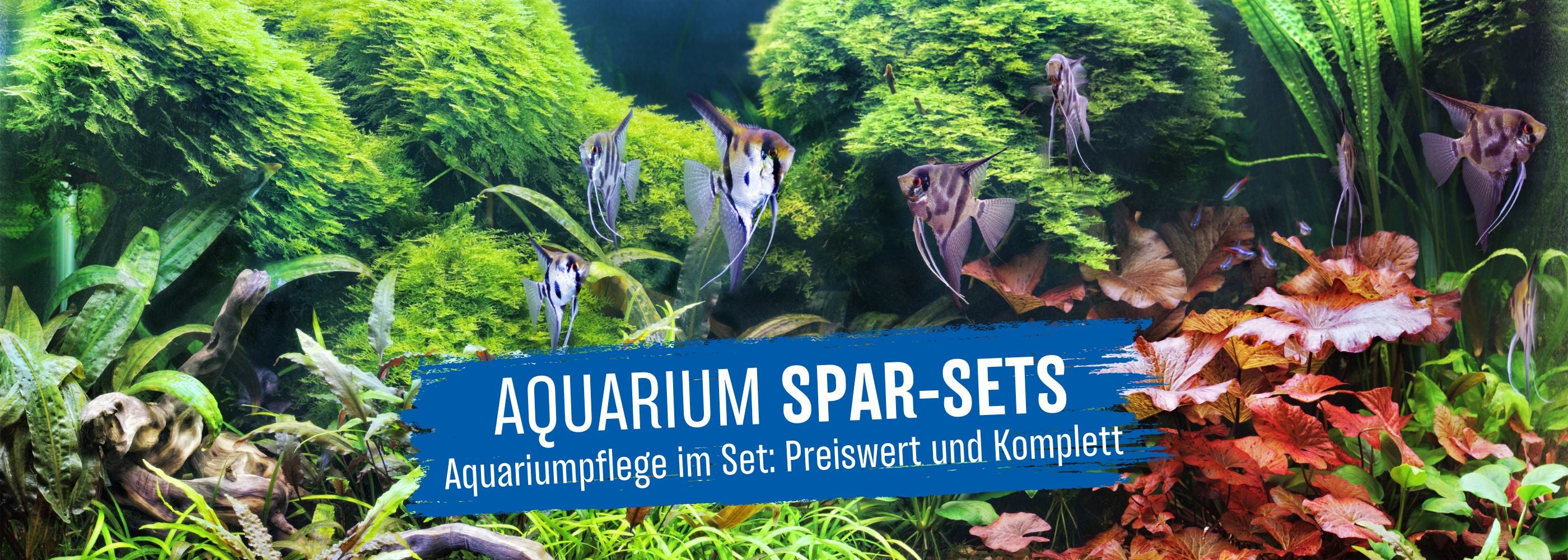 Aquasan Kategoriebild Aquarium Sparsets Desktop