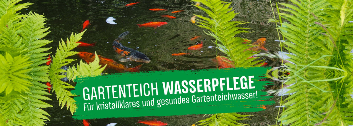 Aquasan Kategoriebild Gartenteich Wasserpflege desktop