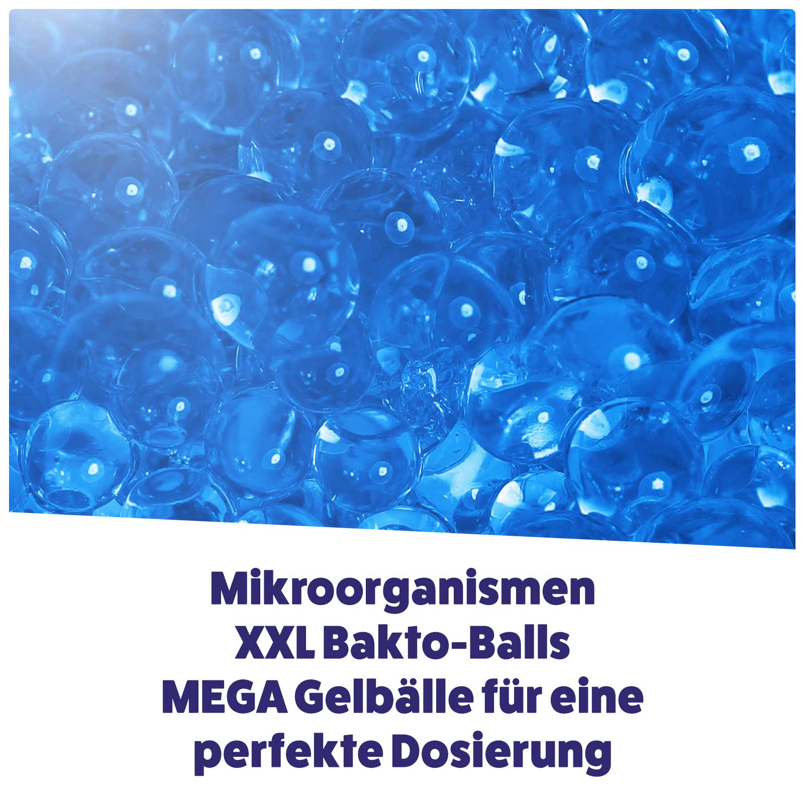 AQUASAN Bakto Balls XXL Mikroogranismen PLUS für Gartenteiche