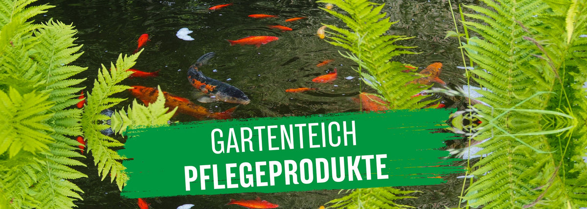 Aquasan Kategoriebild Gartenteich Desktop