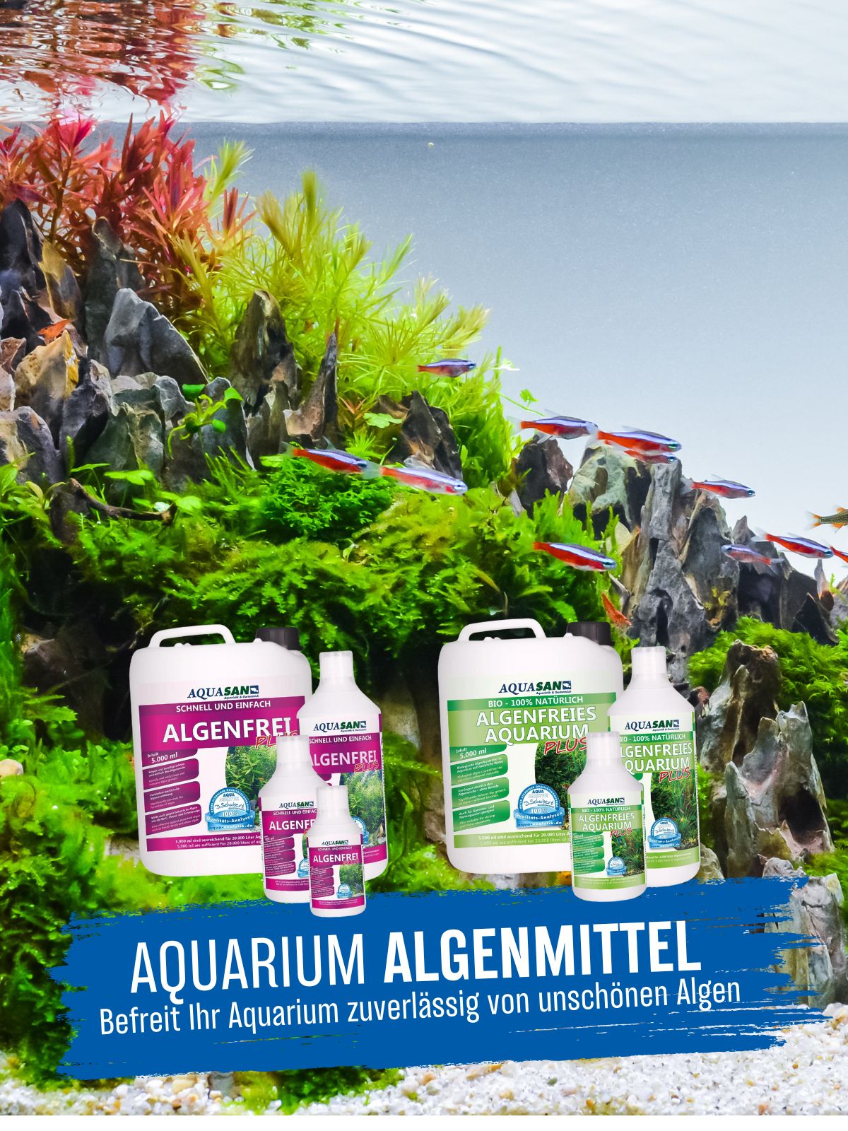 Aquarium Algenmittel Kategoriebild Mobil